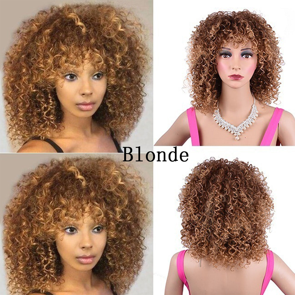Synthetic Afro Curly Wig - Eve's High Fashion LLC