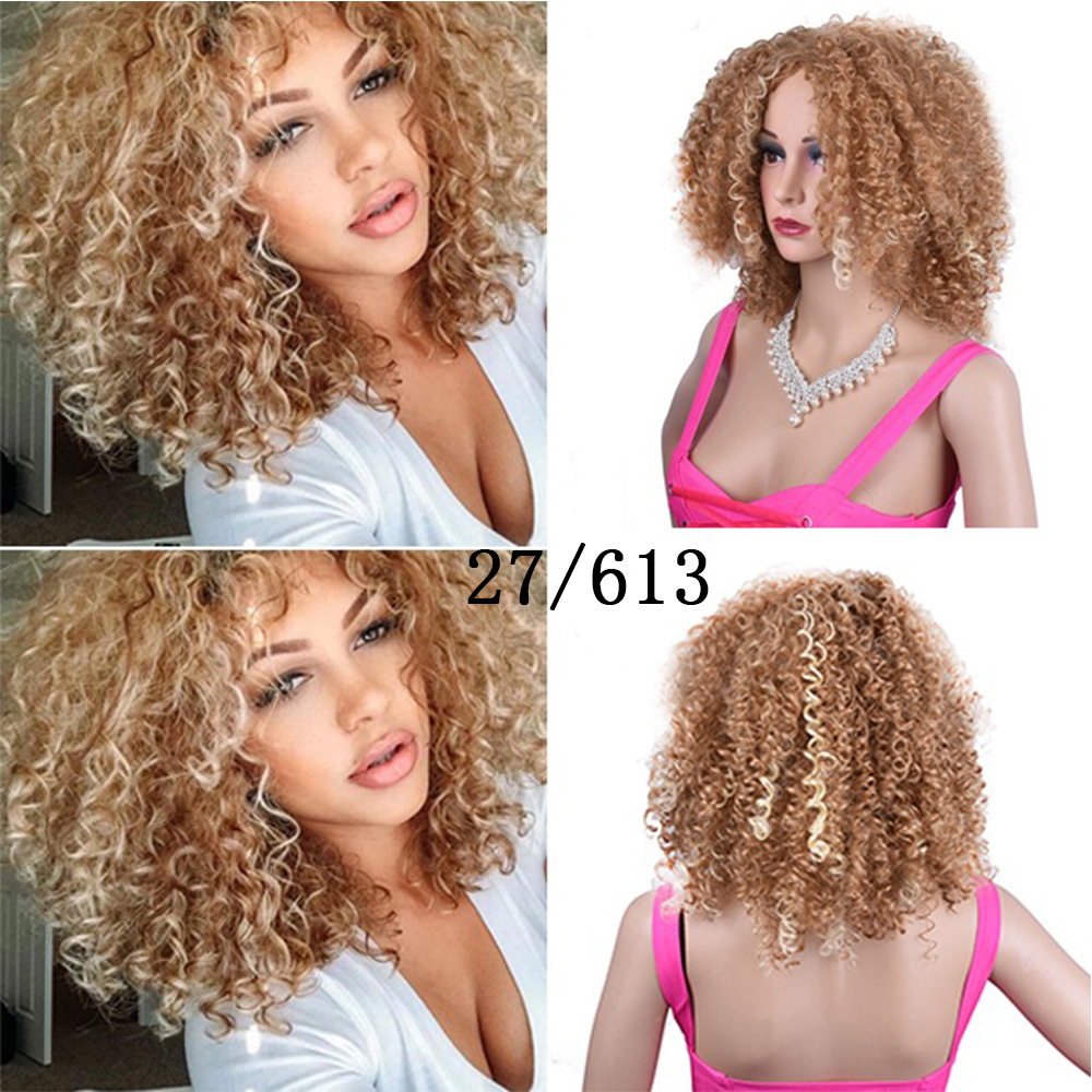 Synthetic Afro Curly Wig - Eve's High Fashion LLC