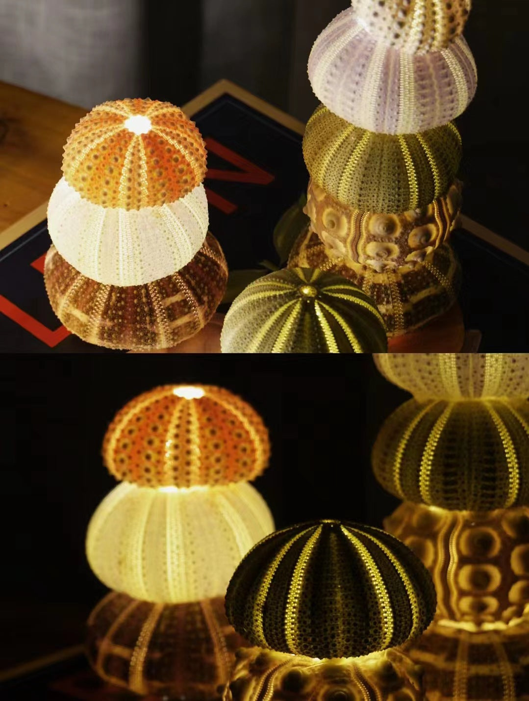 DIY Handmade Luminous Sea Urchin Night Lamp - Eve's High Fashion LLC