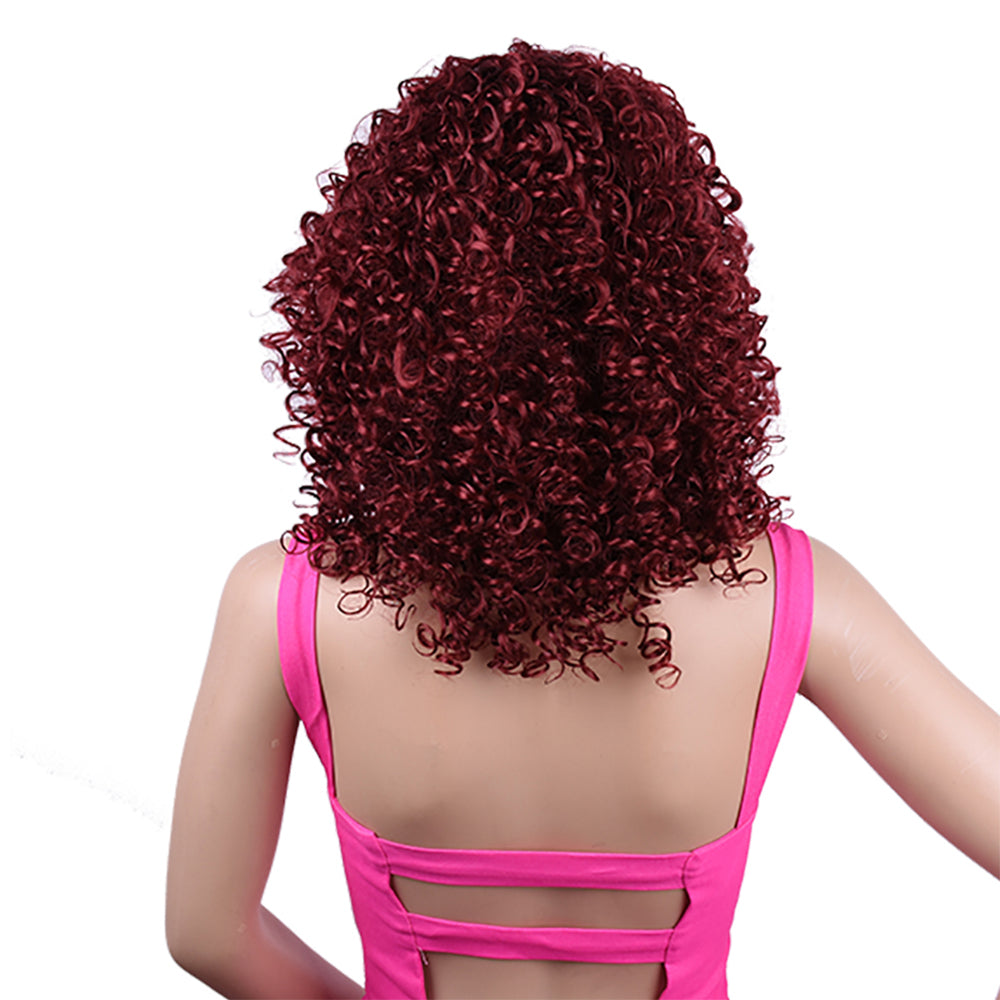 Synthetic Afro Curly Wig - Eve's High Fashion LLC