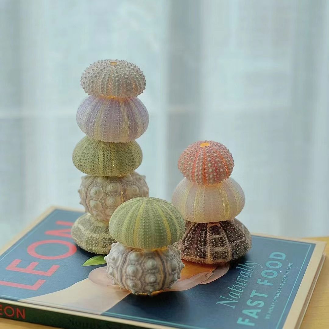DIY Handmade Luminous Sea Urchin Night Lamp - Eve's High Fashion LLC