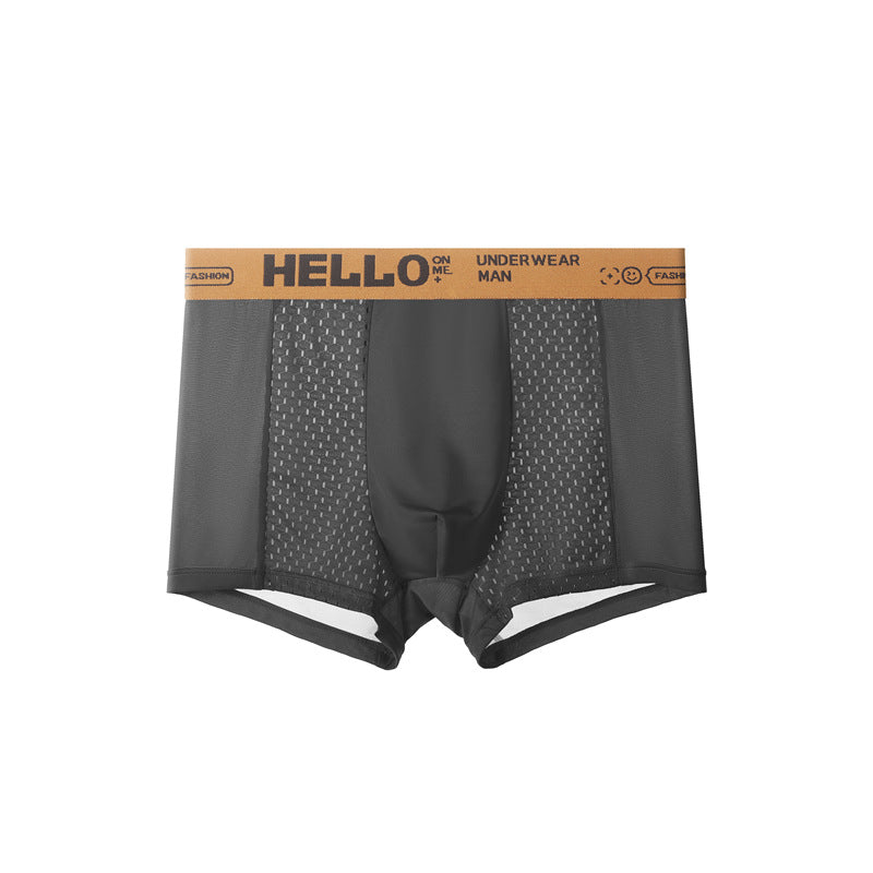 Men's Ice Silk Mesh Antibacterial Breathable Boxers - Eve's High Fashion LLC