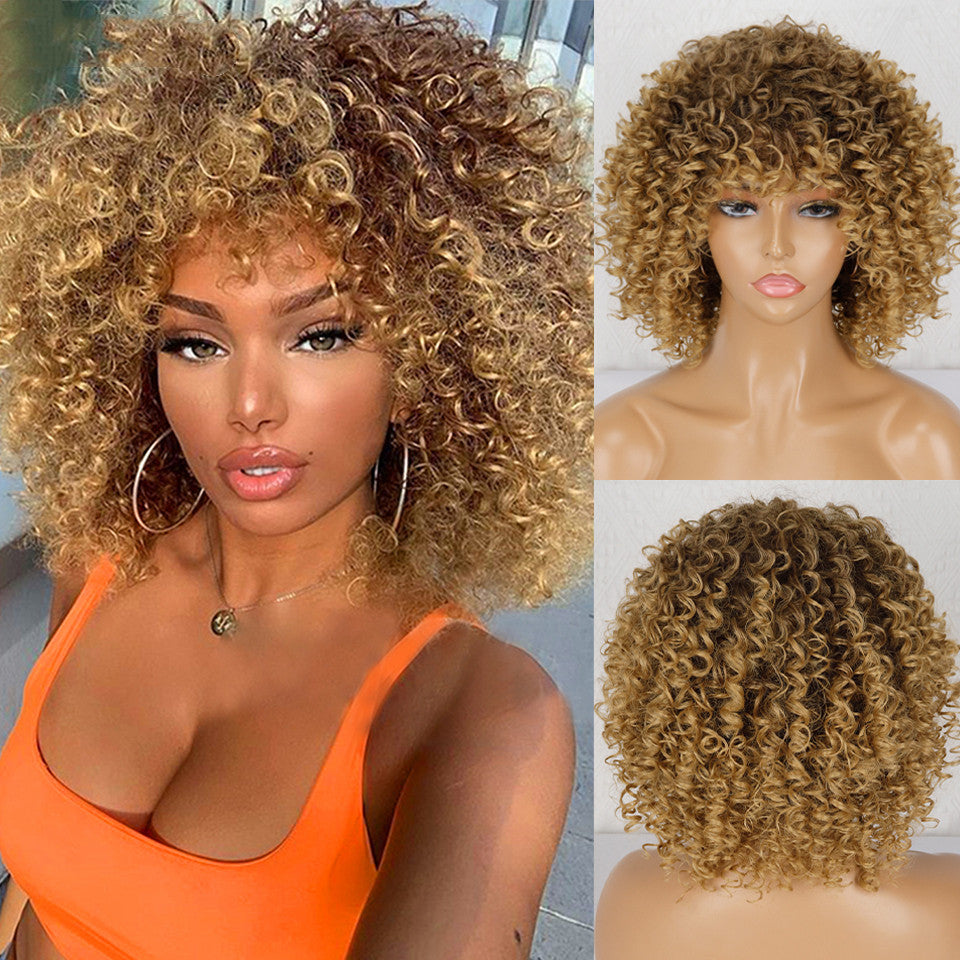 Synthetic Afro Curly Wig - Eve's High Fashion LLC