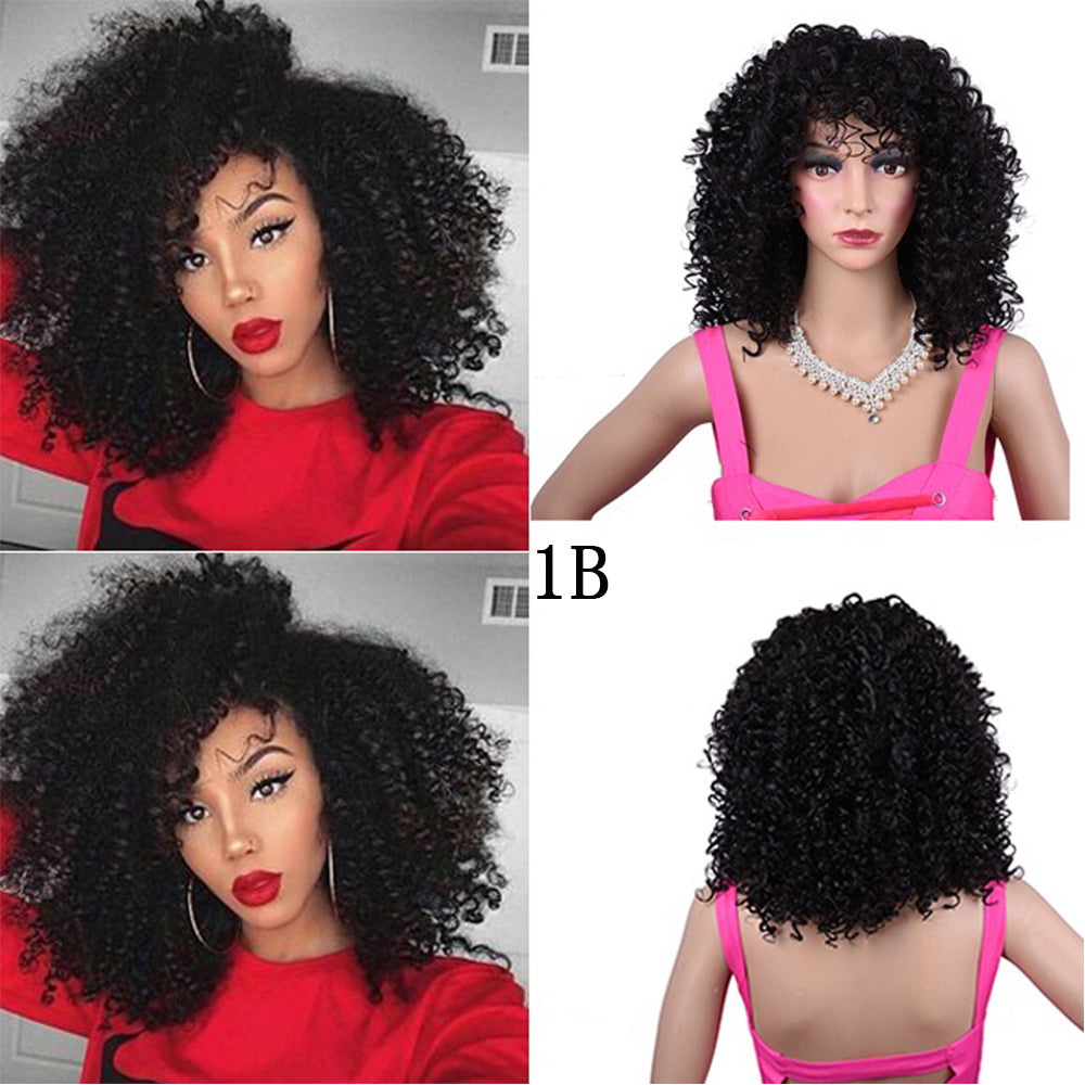 Synthetic Afro Curly Wig - Eve's High Fashion LLC