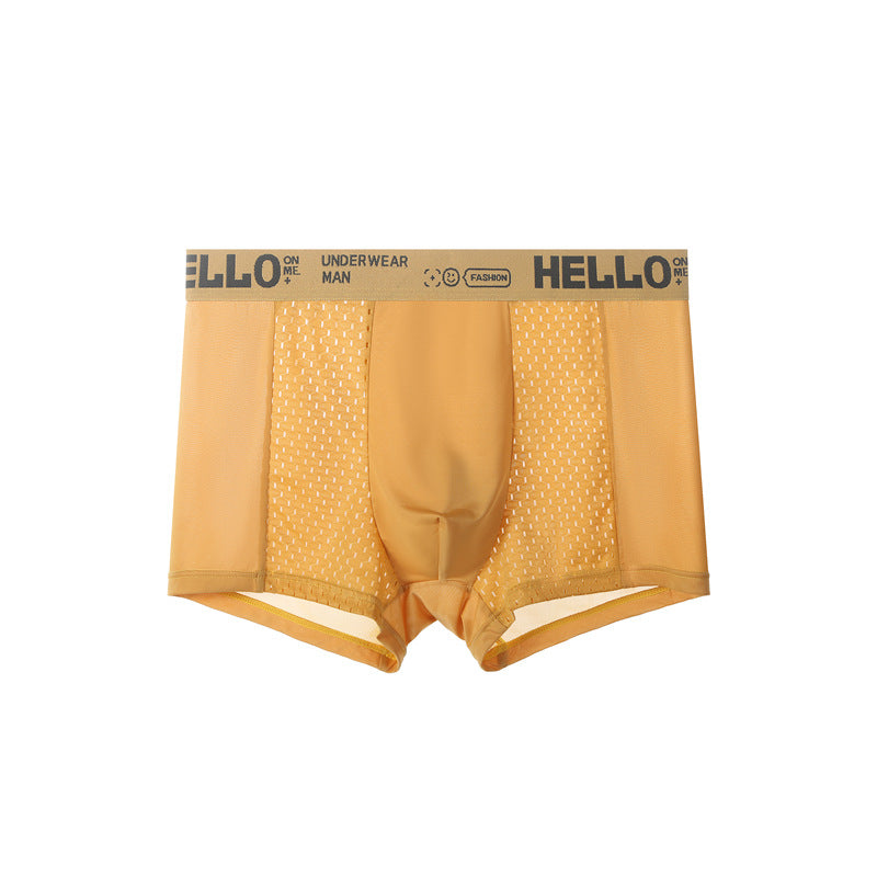 Men's Ice Silk Mesh Antibacterial Breathable Boxers - Eve's High Fashion LLC