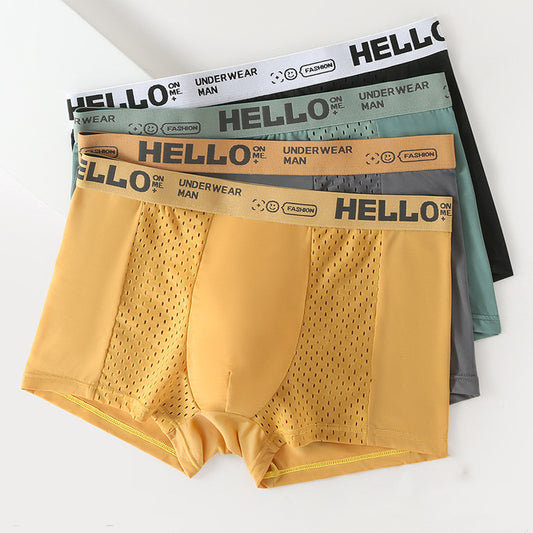 Men's Ice Silk Mesh Antibacterial Breathable Boxers - Eve's High Fashion LLC