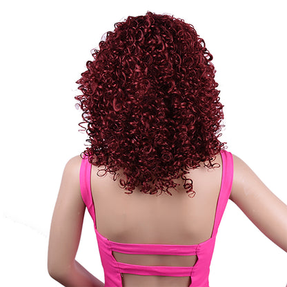 Synthetic Afro Curly Wig - Eve's High Fashion LLC