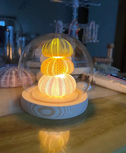 DIY Handmade Luminous Sea Urchin Night Lamp - Eve's High Fashion LLC