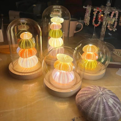 DIY Handmade Luminous Sea Urchin Night Lamp - Eve's High Fashion LLC