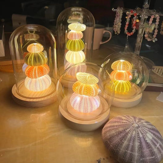 DIY Handmade Luminous Sea Urchin Night Lamp - Eve's High Fashion LLC