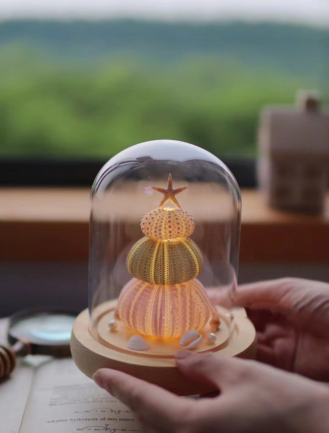 DIY Handmade Luminous Sea Urchin Night Lamp - Eve's High Fashion LLC